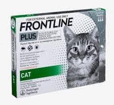 פרונטליין חתול 3 יחידות